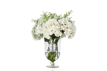 Grand Summer Hydrangea White - GSH01 (carton of 1)